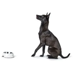 Hunter Melamin Napf Baku Weiß/grau -Wuff Wohnen Verkäufe e Hv24zP 67656 001 image 19