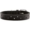 Hunter Halsband Aalborg Soul (Softvollrindleder) -Wuff Wohnen Verkäufe e RSpQZn 69050 001 21