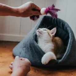 Hunter Hunde- Und Katzenhöhle Samara 50x50cm Anthrazit -Wuff Wohnen Verkäufe e ivhU4T 67688 001 live 19