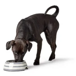 Hunter Melamin-Napf Silda -Wuff Wohnen Verkäufe e knKr53 68664 001 image 20