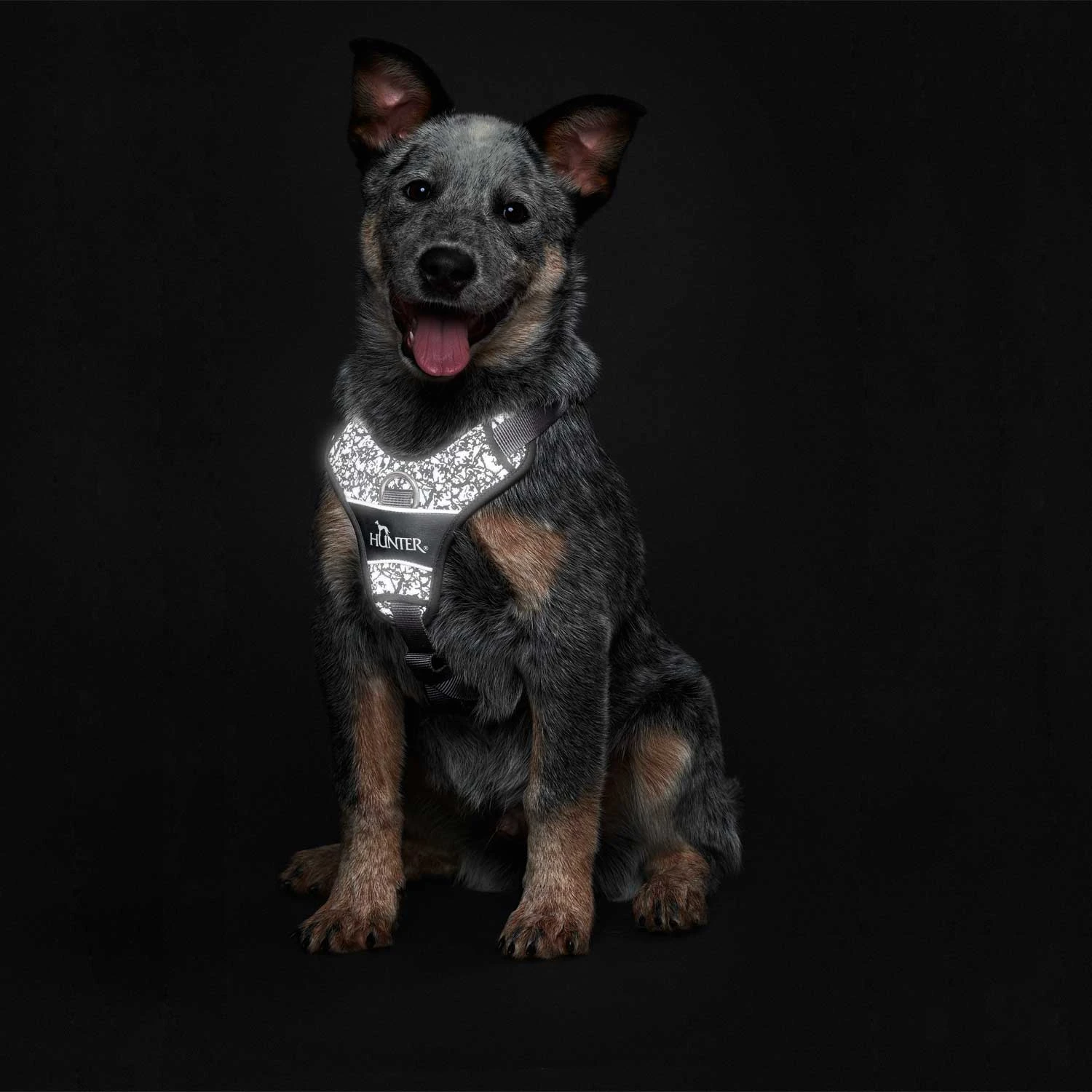 Hunter Geschirr Divo Reflect (Nylon/Polyester) 8 Hunter Geschirr Divo Reflect (Nylon/Polyester) – Bild 6