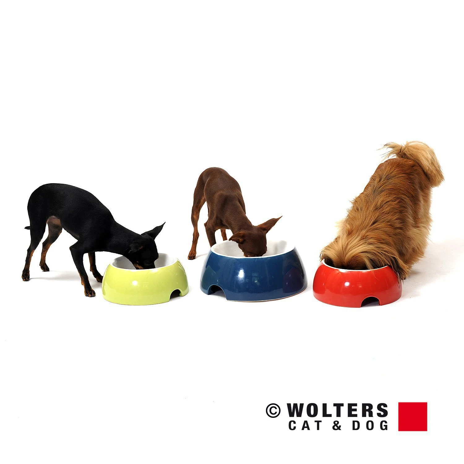 Wolters Futterschale Grey Essentials 4 Wolters Futterschale Grey Essentials – Bild 2