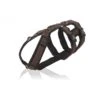Annyx Geschirr Safety Schwarz / Braun 2 Annyx Geschirr Safety Schwarz / Braun -Wuff Wohnen Verkäufe geschirr safety m schwarz braun