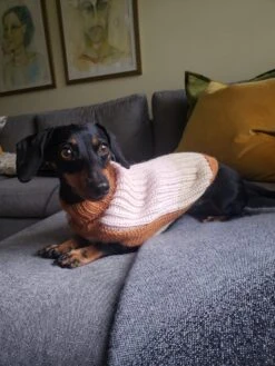 Alqo Wasi Hunde-Pullover Soft Dreams -Wuff Wohnen Verkäufe gloria