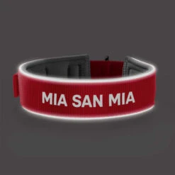 Hunter Halsband Neopren Reflect FC Bayern München 12 Hunter Halsband Neopren Reflect FC Bayern München -Wuff Wohnen Verkäufe hb20fc203