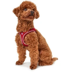 Hunter Geschirr Hilo Comfort FC Bayern München -Wuff Wohnen Verkäufe hilo20fc204