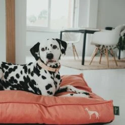 Hunter Kissen Orthopädisch Merida Apricot -Wuff Wohnen Verkäufe hunter meridaapricot4