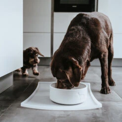 Hunter Keramik-Napf Osby Weiß 7 Hunter Keramik-Napf Osby Weiß -Wuff Wohnen Verkäufe hunter osbyweiss3