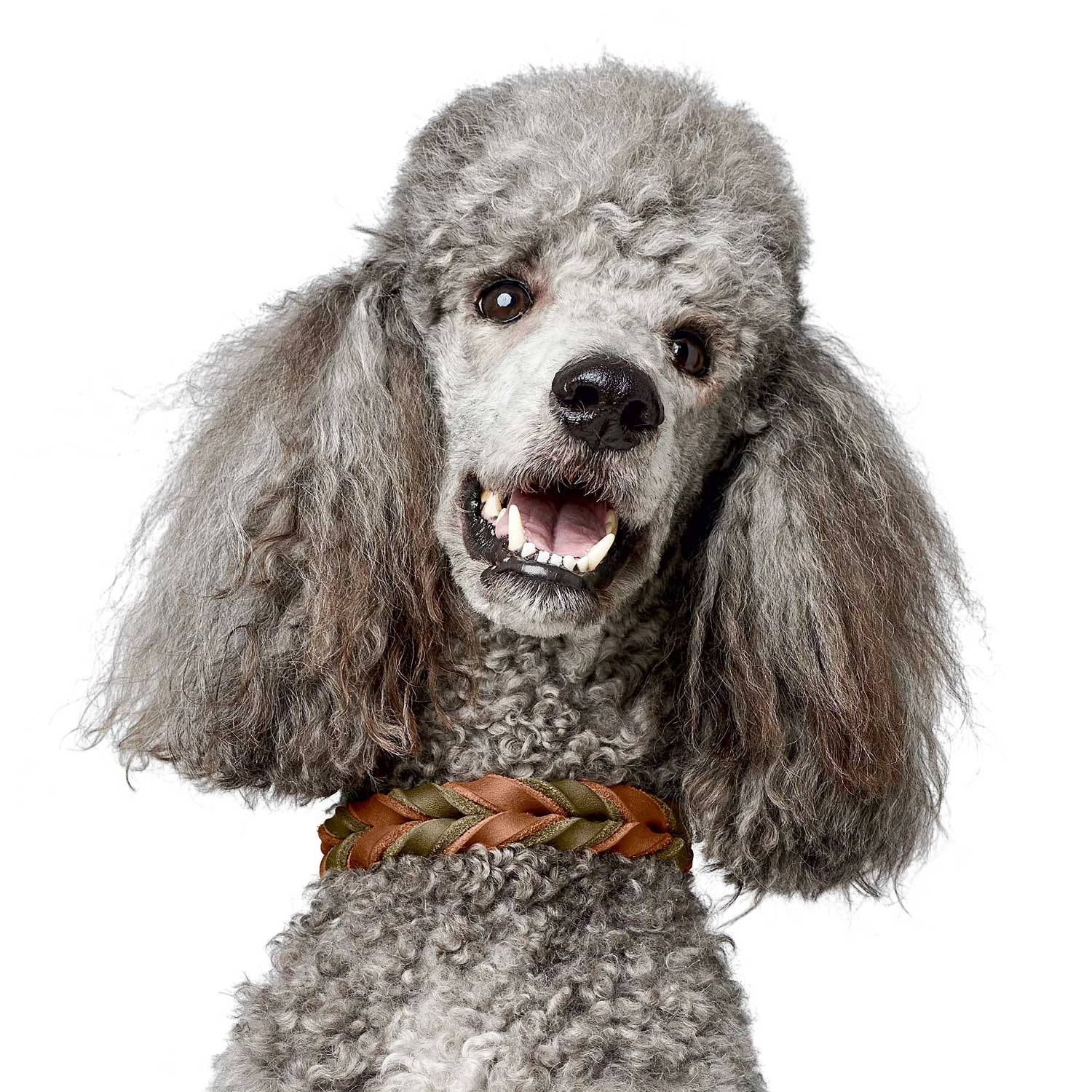 Hunter Halsband Solid Education Duo (Softvollrindleder) 7 Hunter Halsband Solid Education Duo (Softvollrindleder) – Bild 5