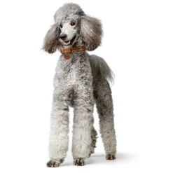 Hunter Halsband Solid Education Duo (Softvollrindleder) 13 Hunter Halsband Solid Education Duo (Softvollrindleder) -Wuff Wohnen Verkäufe huntersoledduoco06