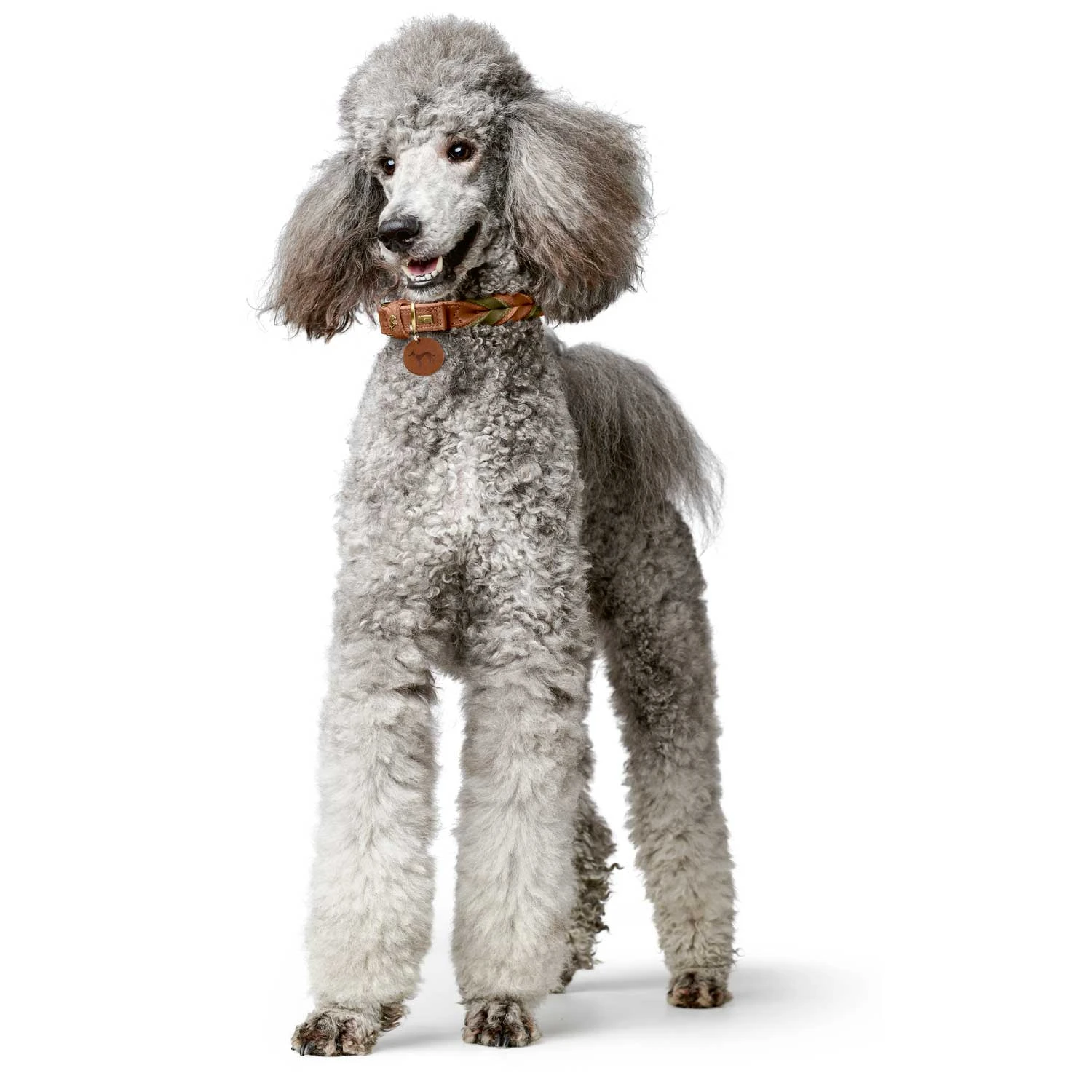 Hunter Halsband Solid Education Duo (Softvollrindleder) 8 Hunter Halsband Solid Education Duo (Softvollrindleder) – Bild 6