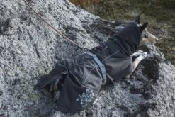 Hurtta Extreme Warmer, Granit -Wuff Wohnen Verkäufe hurtta extremewarmer blackberry 1 small b6dfe5a2 e137 4000 9752 aba63b081556 1260x