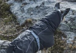 Hurtta Extreme Warmer, Granit -Wuff Wohnen Verkäufe hurtta extremewarmer blackberry 4 small 3e9af190 3d96 4b5a 8141 de8b81055712 1260x