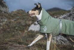 Hurtta Extreme Warmer, Granit -Wuff Wohnen Verkäufe hurtta extremewarmer hedge 4 small ef4aaebc 39be 4b3c a653 4e0811e393c9 1260x 1