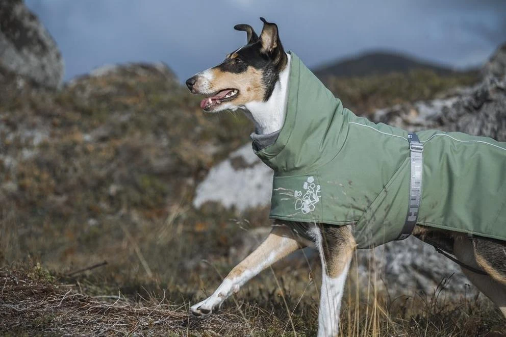 Hurtta Extreme Warmer ECO (Limited Edition), Grün 7 Hurtta Extreme Warmer ECO (Limited Edition), Grün – Bild 5