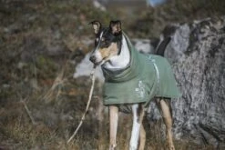 Hurtta Extreme Warmer ECO (Limited Edition), Grün 13 Hurtta Extreme Warmer ECO (Limited Edition), Grün -Wuff Wohnen Verkäufe hurtta extremewarmer hedge 5 small b7cccded da09 4189 b1d3 dd99a61f2549 975x