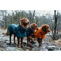 Hurtta Monsun Regenmantel, Orange 9 Hurtta Monsun Regenmantel, Orange -Wuff Wohnen Verkäufe hurtta monsun regenmantel 1570010077 28129