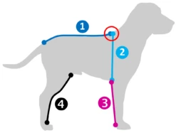 Hurtta Downpour Suit, Schwarz -Wuff Wohnen Verkäufe hurttashop 1628005660564