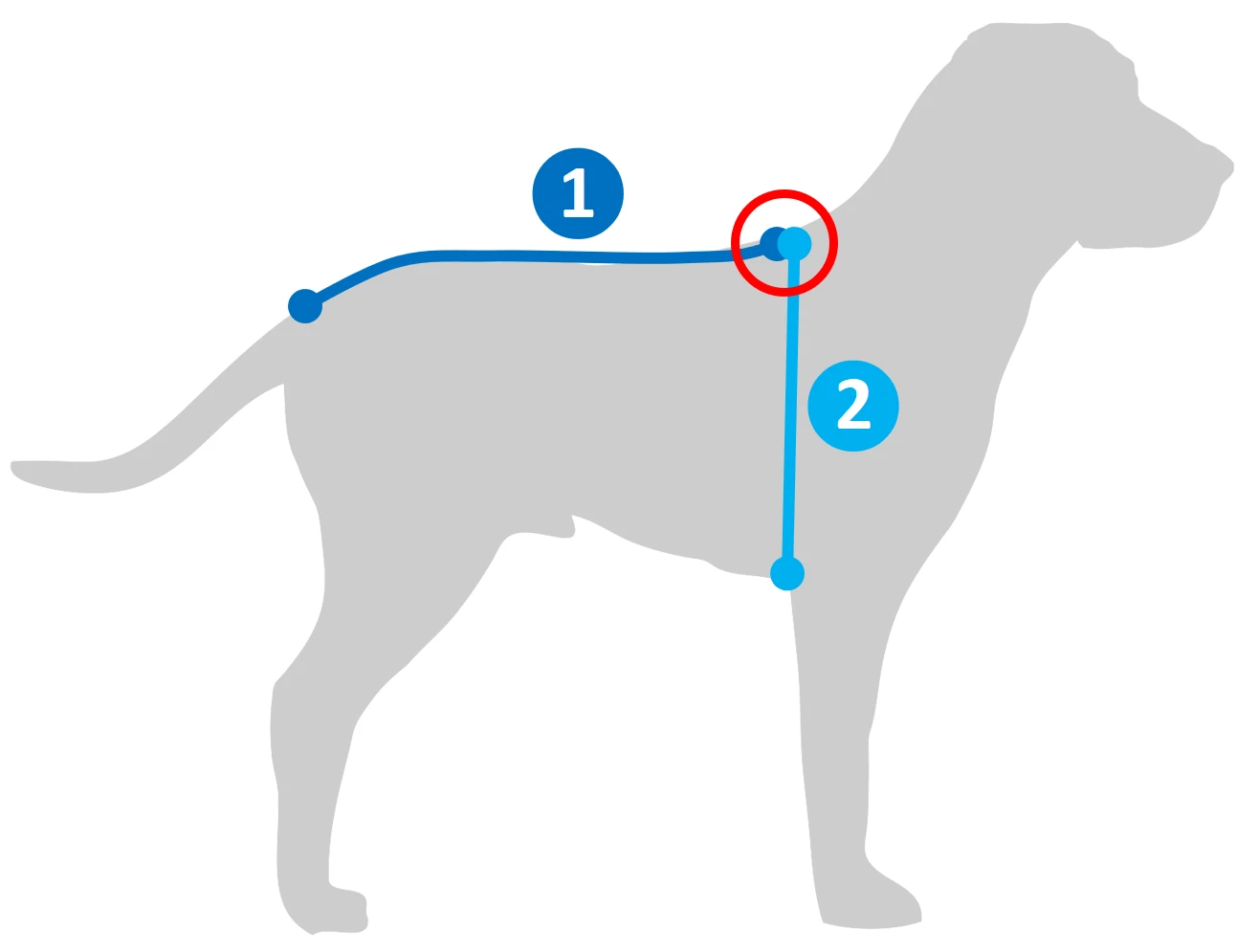 Hurtta Extreme Warmer ECO, Zimt 4 Hurtta Extreme Warmer ECO, Zimt – Bild 2