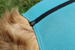 VetMedCare Dog Body Mit 4 Beinen Und Zipper -Wuff Wohnen Verkäufe image5