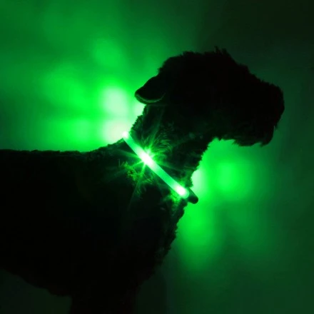 LEUCHTIE Pro Easy Charge, Mit Ladegerät 4 LEUCHTIE Pro Easy Charge, Mit Ladegerät – Bild 2