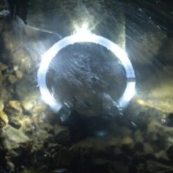 LEUCHTIE Premium Nachleuchtend 7 LEUCHTIE Premium Nachleuchtend -Wuff Wohnen Verkäufe led leuchthalsband leuchtie hund wasser weiss