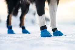 Non-stop Dogwear Protect Fleece Booties (Paar) -Wuff Wohnen Verkäufe long distance booties setting 3