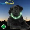 LumiVision Leuchthalsband Grün -Wuff Wohnen Verkäufe lumi20gruCC88n202