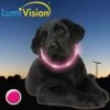 LumiVision Leuchthalsband Pink 1 LumiVision Leuchthalsband Pink -Wuff Wohnen Verkäufe lumi20pin202