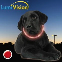 LumiVision Leuchthalsband Rot