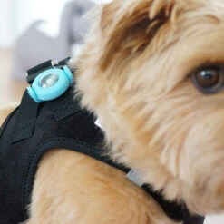 Curli Luumi LED -Wuff Wohnen Verkäufe luumiallg1