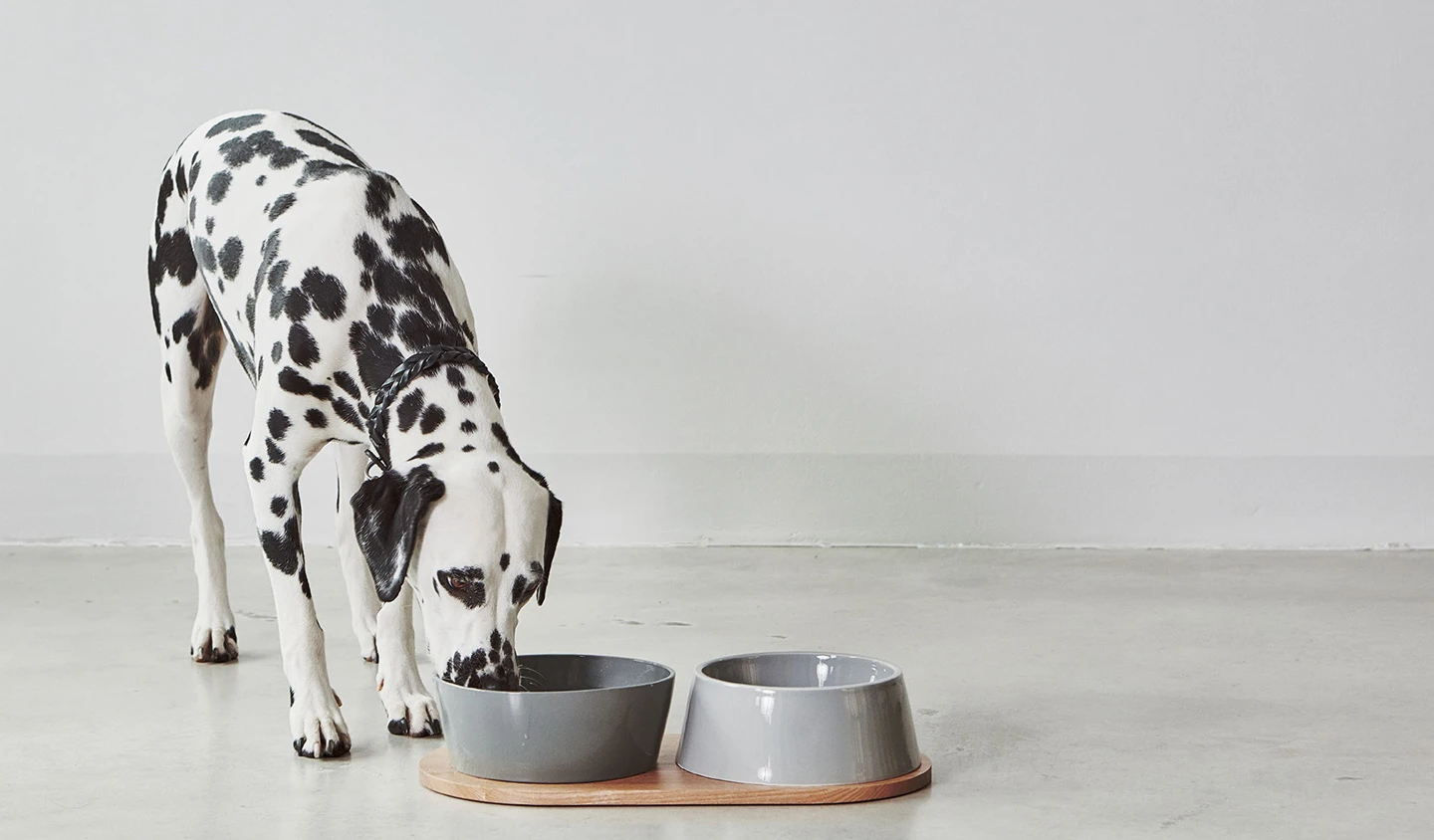 MiaCara Tablett Doppio 4 MiaCara Tablett Doppio – Bild 2