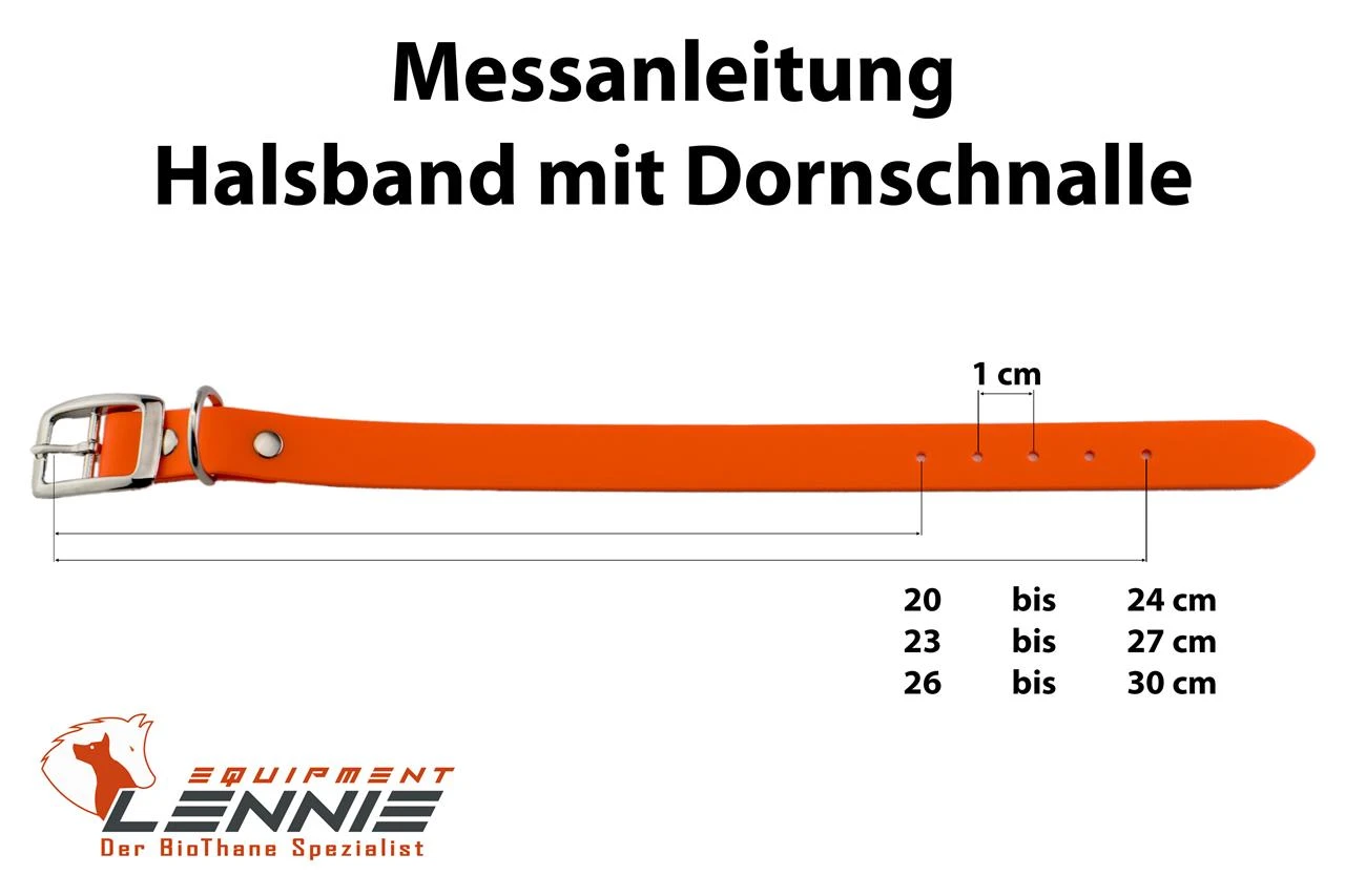 Lennie Superflex Biothane Halsband Mit Dornschnalle 5 Lennie Superflex Biothane Halsband Mit Dornschnalle – Bild 3