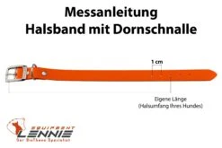 Lennie Superflex Biothane Halsband Mit Dornschnalle 9 Lennie Superflex Biothane Halsband Mit Dornschnalle -Wuff Wohnen Verkäufe messanleitung halsband dornschnalle eigene 9 13 28129