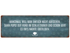 Interluxe Metallschild 29x9cm