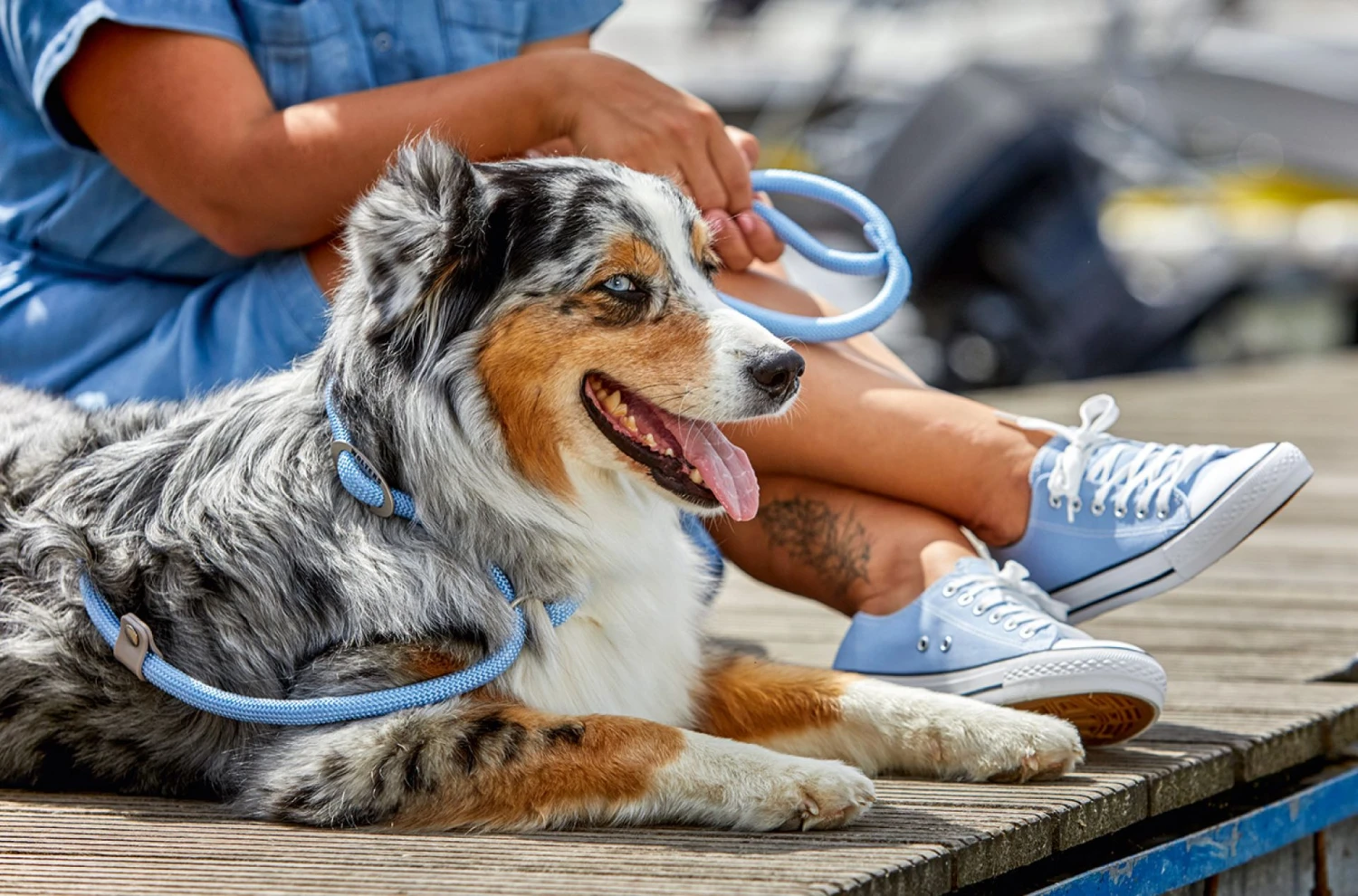 Wolters Moxonleine K2 4 Wolters Moxonleine K2 – Bild 2