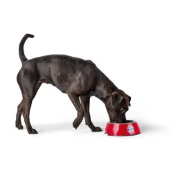 Hunter Melamin-Napf FC Bayern München 8 Hunter Melamin-Napf FC Bayern München -Wuff Wohnen Verkäufe napf20fc203