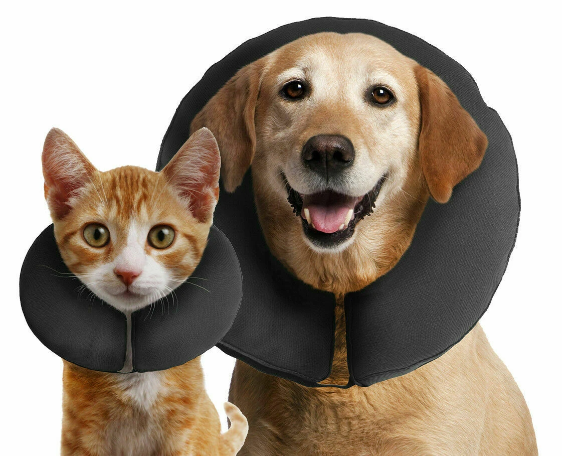 Padamed ZenCollar XS 3 Padamed ZenCollar XS