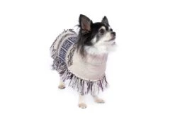 Alqo Wasi Hunde-Pullover Poncho Pisac XS 9 Alqo Wasi Hunde-Pullover Poncho Pisac XS -Wuff Wohnen Verkäufe pisac poncho alqo wasi 04