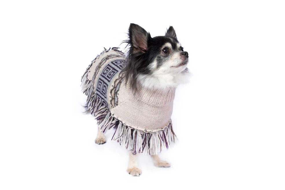 Alqo Wasi Hunde-Pullover Poncho Pisac XS 5 Alqo Wasi Hunde-Pullover Poncho Pisac XS – Bild 3