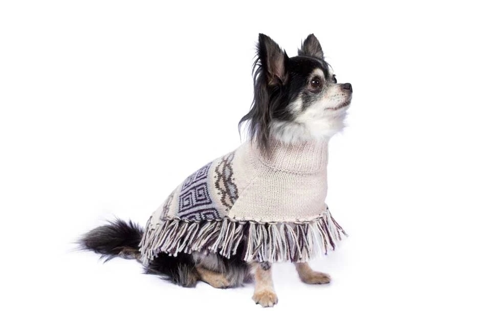 Alqo Wasi Hunde-Pullover Poncho Pisac XS 4 Alqo Wasi Hunde-Pullover Poncho Pisac XS – Bild 2