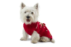 Alqo Wasi Hunde-Pullover Red Rudolph -Wuff Wohnen Verkäufe red rudoplh alqo wasi 05