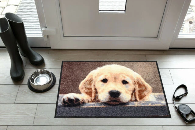 Salonlöwe Fußmatte Nosy Dog 50x75cm 4 Salonlöwe Fußmatte Nosy Dog 50x75cm – Bild 2