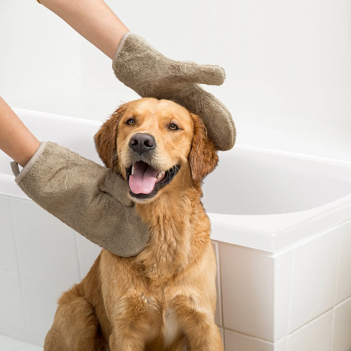 SICCARO DryGloves Wetdog - Trockenhandschuh Einzeln / 1 Stück 4 SICCARO DryGloves Wetdog - Trockenhandschuh Einzeln / 1 Stück – Bild 2