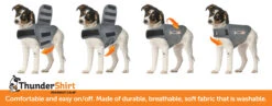 Thundershirt (für Hunde) -Wuff Wohnen Verkäufe thundershirt howto