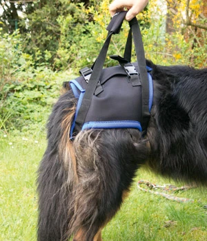 Padamed Walkabout Lauf- Und Tragehilfe Hinterläufe 3 Padamed Walkabout Lauf- Und Tragehilfe Hinterläufe