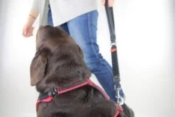 WAW Ruckdämpfer Grey -Wuff Wohnen Verkäufe waw hand 04 1