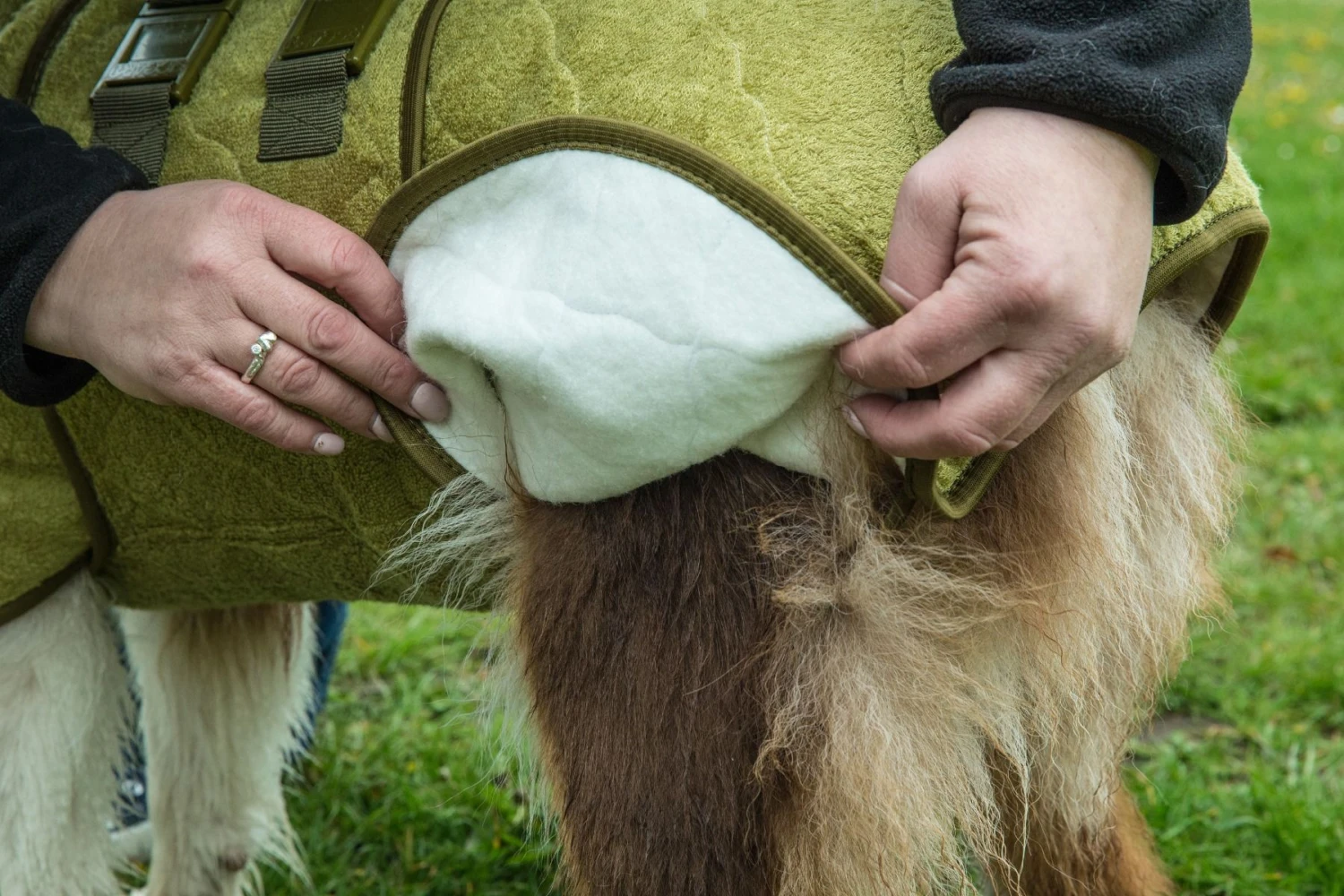 SICCARO Hundemantel WetDog SupremePro Bamboo 8 SICCARO Hundemantel WetDog SupremePro Bamboo – Bild 6