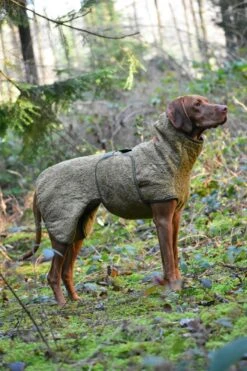 SICCARO Hundemantel WetDog SupremePro Olive 11 SICCARO Hundemantel WetDog SupremePro Olive -Wuff Wohnen Verkäufe wdc 010501.pt04 2