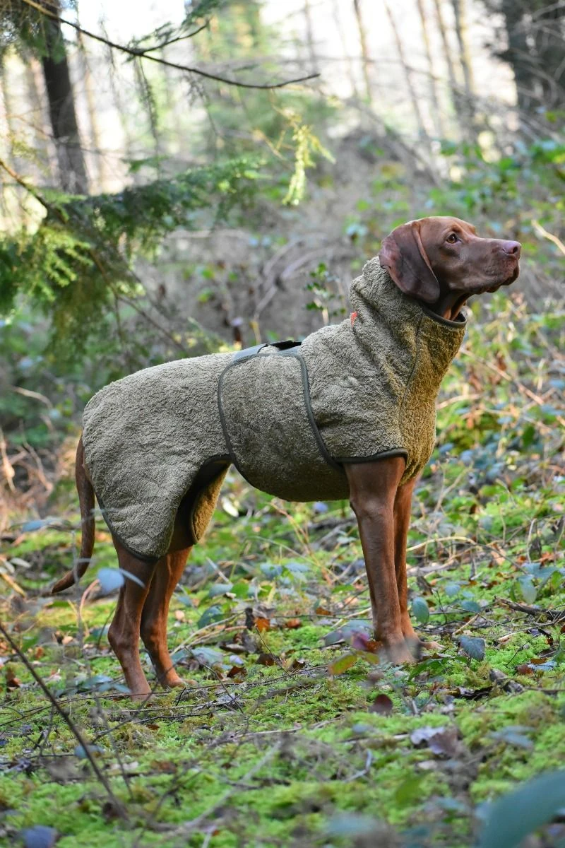 SICCARO Hundemantel WetDog SupremePro Olive 6 SICCARO Hundemantel WetDog SupremePro Olive – Bild 4